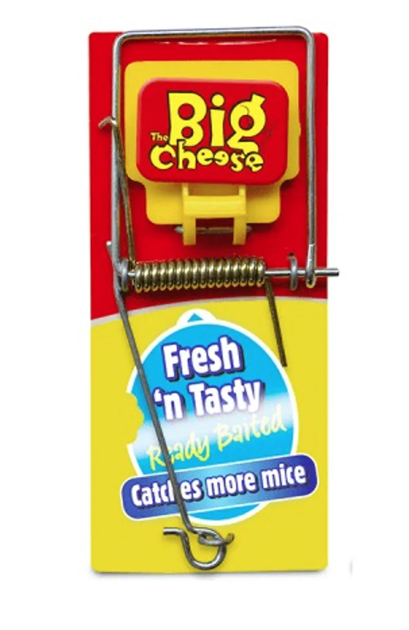 Fresh Baited Mouse Trap